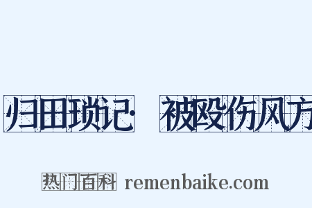 归田琐记·被殴伤风方是什么意思的图片